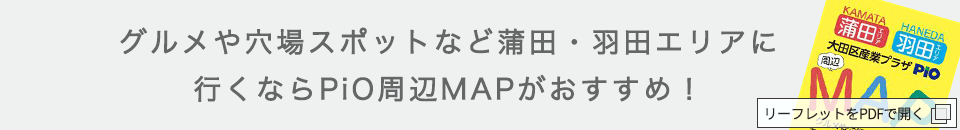 周辺マップ PDF
