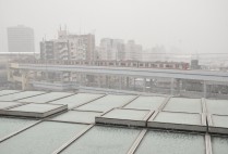 二度目の雪は・・・