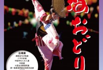 PiOから徒歩10分、阿波踊りを見に行こう