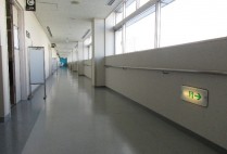 新年を迎えて６階が美しく！